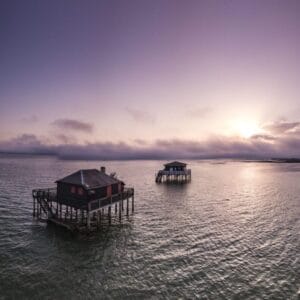 Tour de l'ïle au oiseaux, Cabane tchanquées promenade en bateau sur la bassin d'arcachon