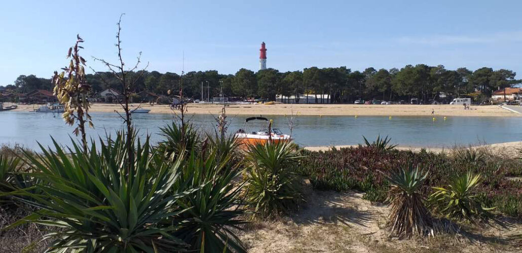 Banc du Mimbeau Yuccas et parcs à huîtres bassin d'Arcachon Gironde