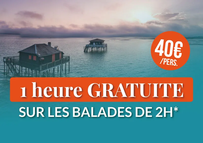 Offre d'une heure de navigation gratuite sur la balade en bateau à Arcachon
